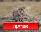 טיסות לאפריקה ברגע האחרון