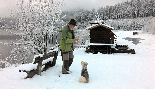 חופשה לגמלאים בעונת החורף